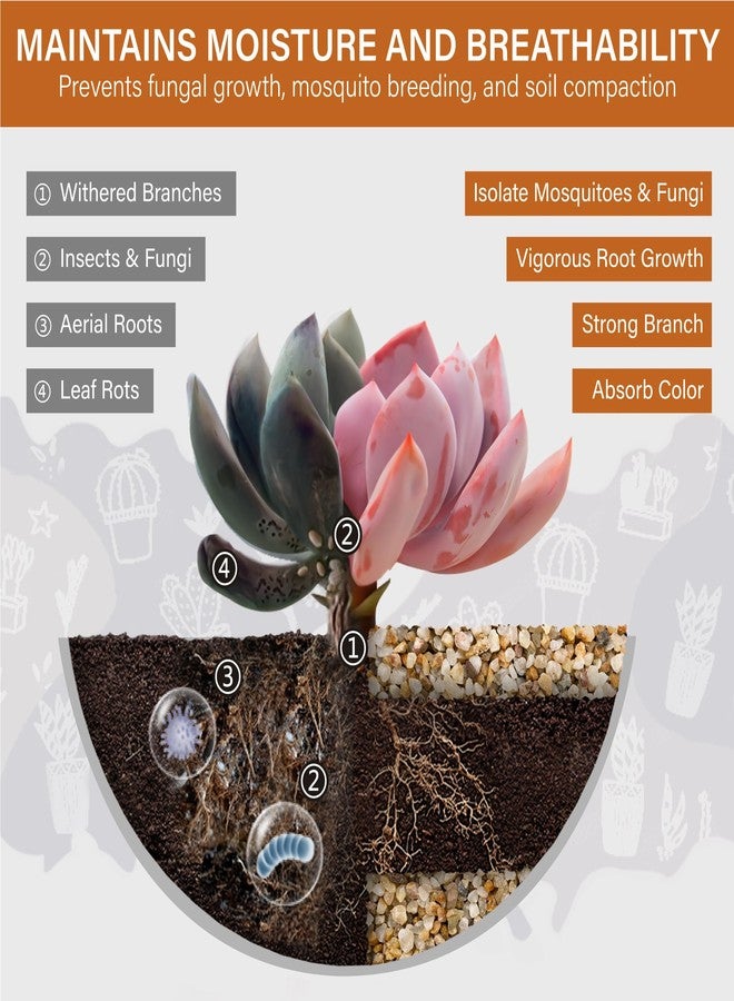 NUPICK 3-5mm Coarse Sand for Plants, 6lb Horticultural Grit for Succulents, Desert Silica Sand for Cactus, Decorative Gravel for Landscaping, Gold Grit for Aquariums, Bonsai, Vases Fillers - Image 2